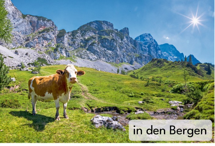 in den Bergen